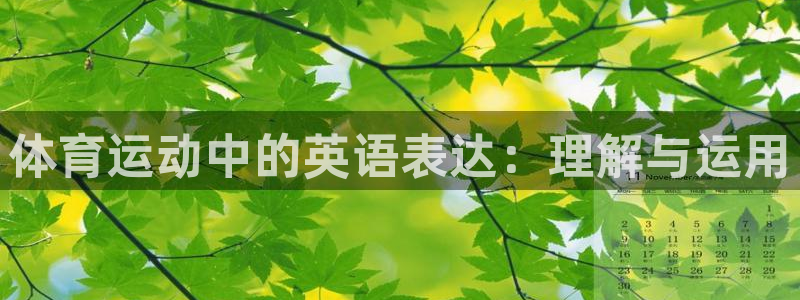 球客岛：体育运动中的英语表达：理解与运用