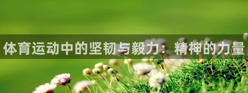 球客岛
