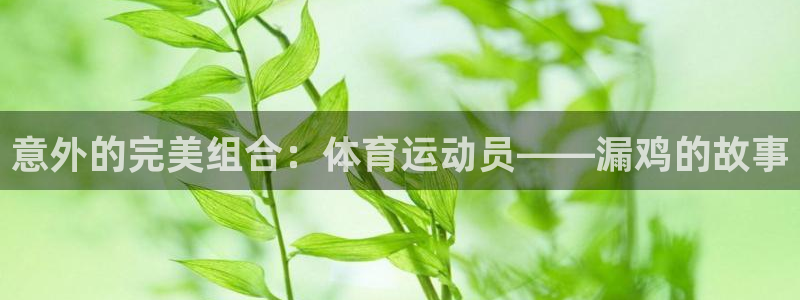 球客岛