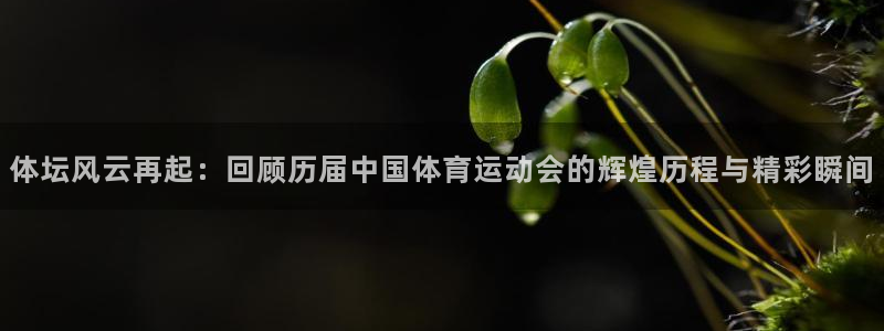 球客岛