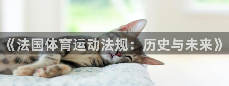 球客岛