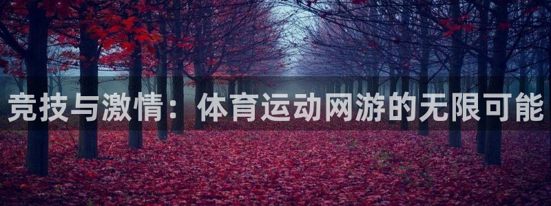 球客岛