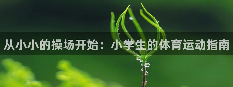 球客岛