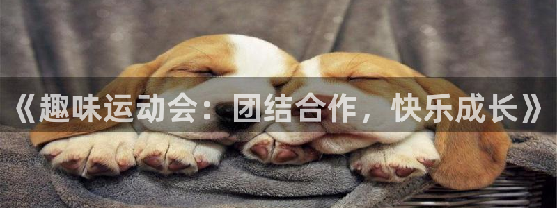 球客岛
