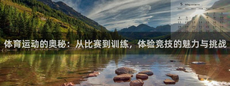 球客岛：体育运动的奥秘：从比赛到训练，体验竞技的魅力与挑战