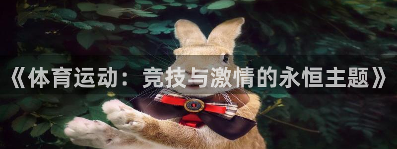 球客岛：《体育运动：竞技与激情的永恒主题》